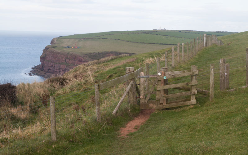 clifftop path north of St Bees