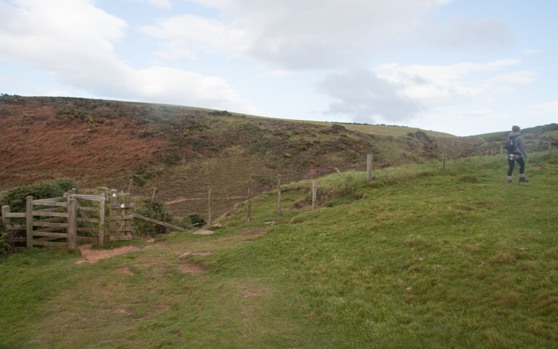clifftop path north of St Bees, close to Fleswick Bay