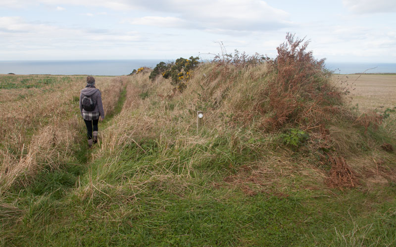 footpath leading towards coastal path near St Bees Head