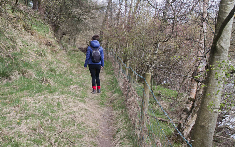 path by River Lune