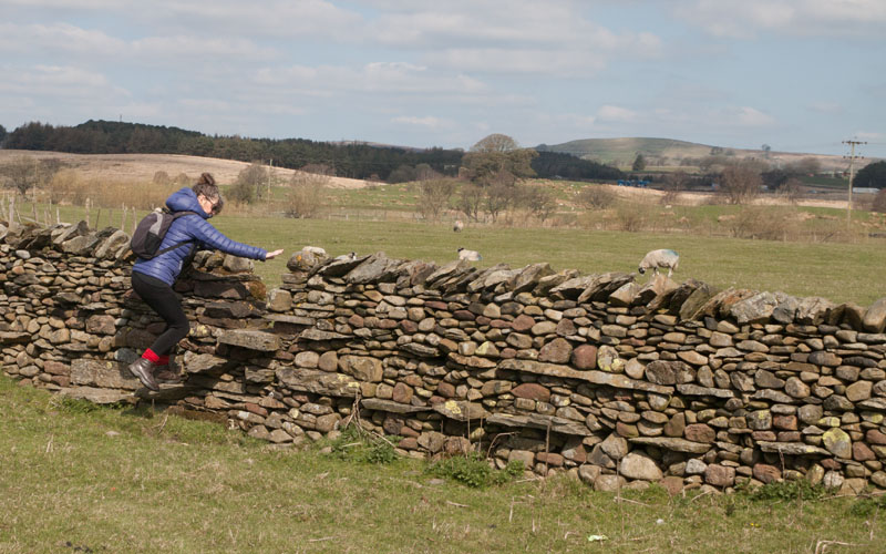 path near River Lune