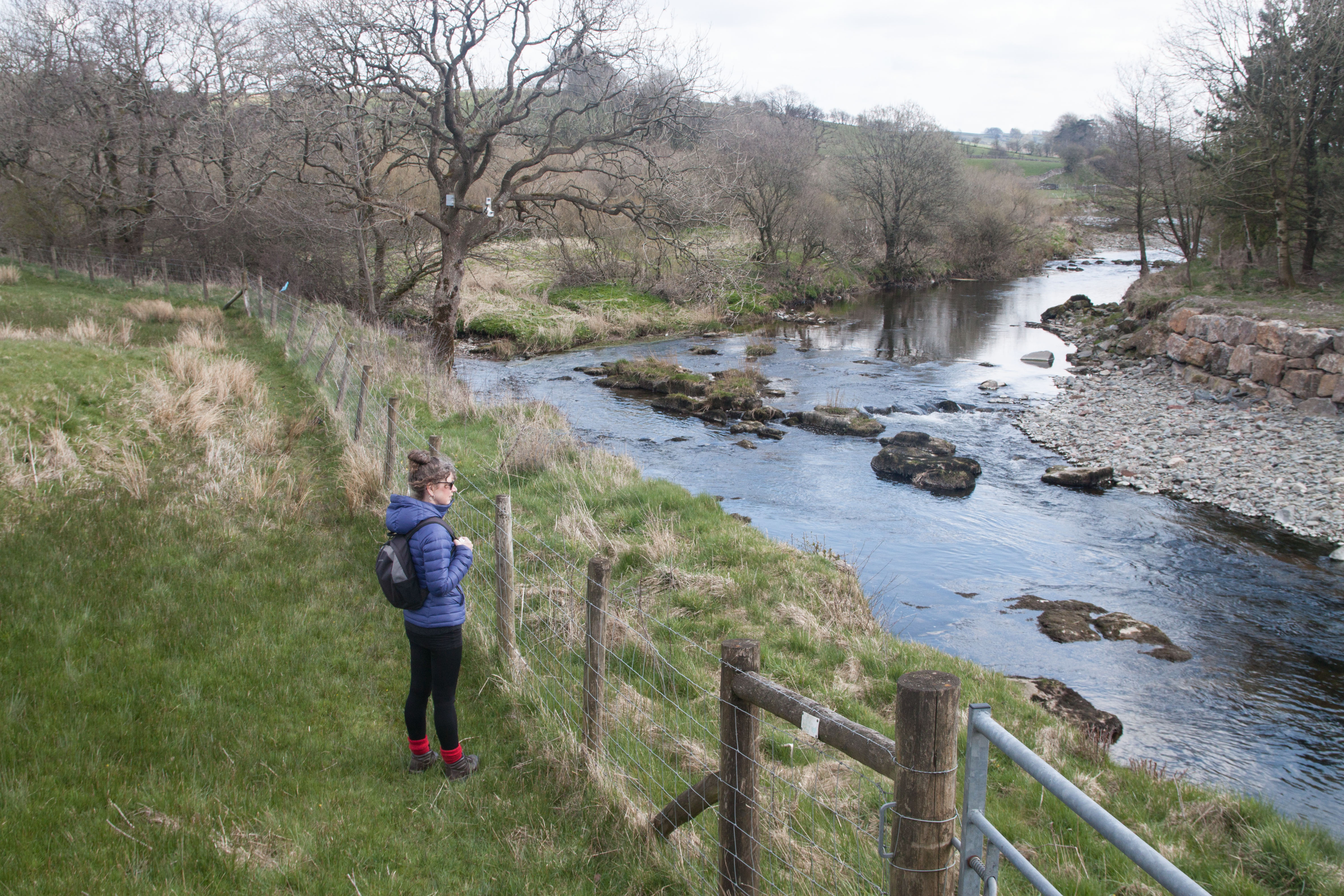 The path takes you north east, away from the river