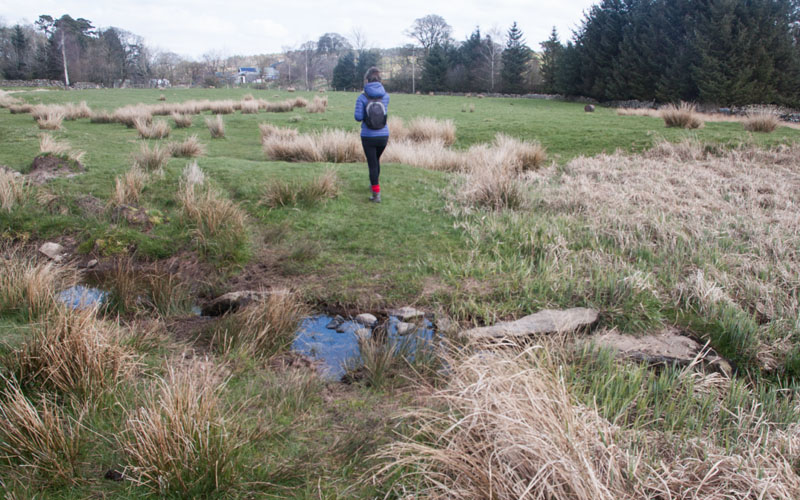 between Tebay Bridge and Coatflatt Hall