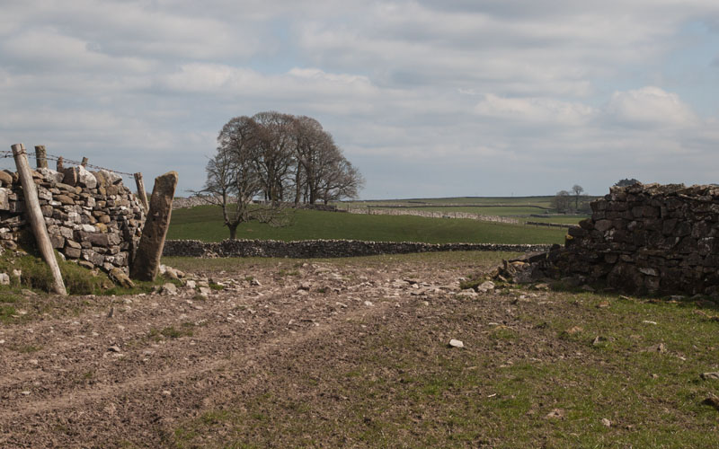 between Coatflatt and Raisgill Halls