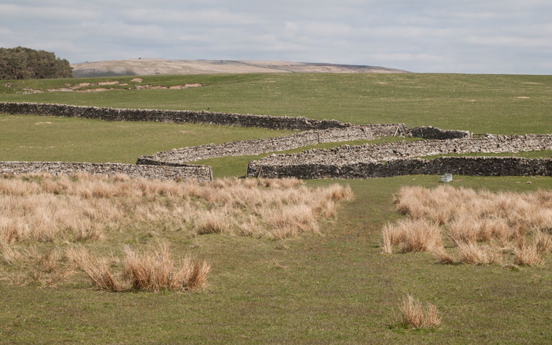 between Coatflatt and Raisgill Halls