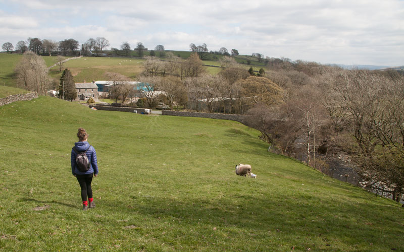 near Raisgill Bridge