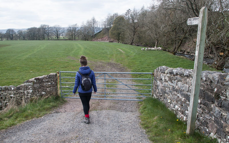 near Raisgill Bridge