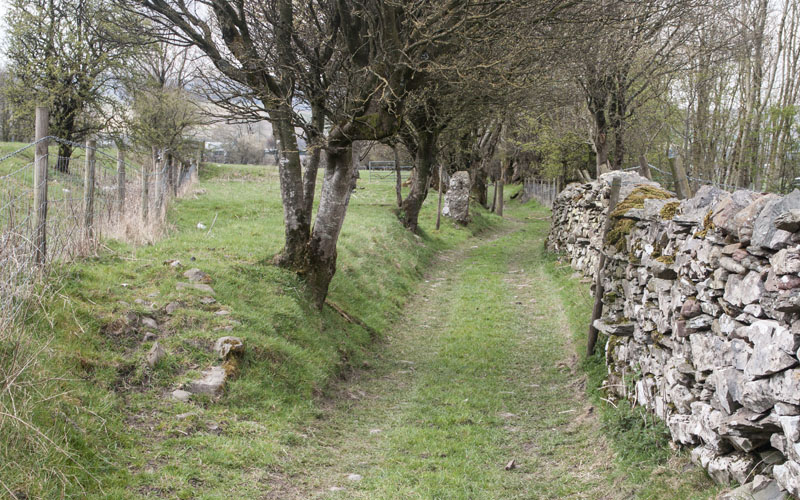 narrow lane leading towards Tebay