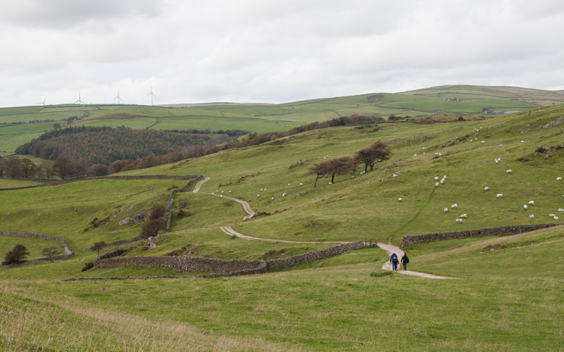 path leading down Hoad Hill