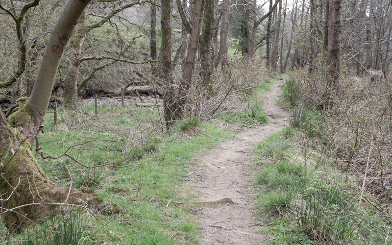 footpath through woodland, east of River Wyre