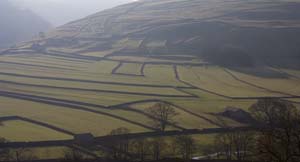 Looking back to Littondale