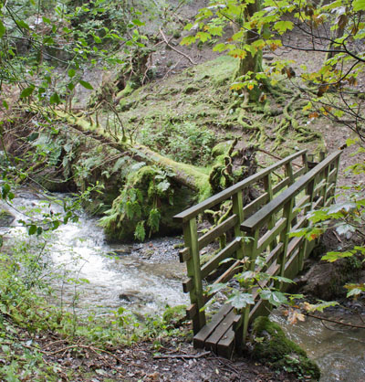 footbridge over Chapel Beck