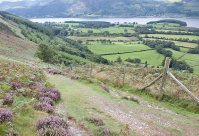 Bassenthwaite Lake from south east of Watches