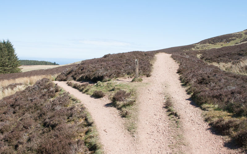 junction of paths on the side of Capelaw Hill