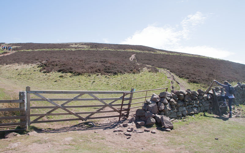 on the side of Capelaw Hill