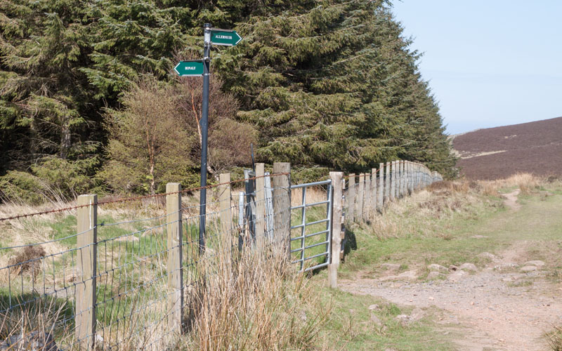 junction of paths on the side of Capelaw Hill