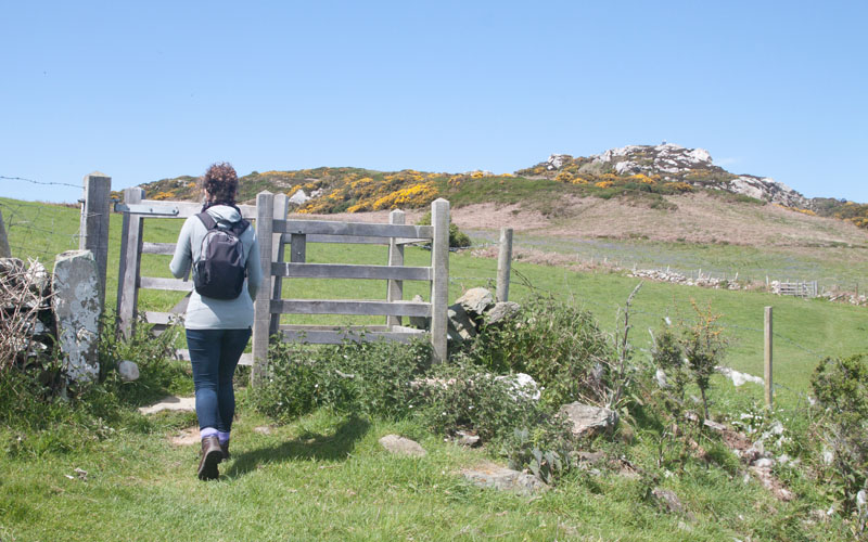 Anglesey coastal path at Porth Wen