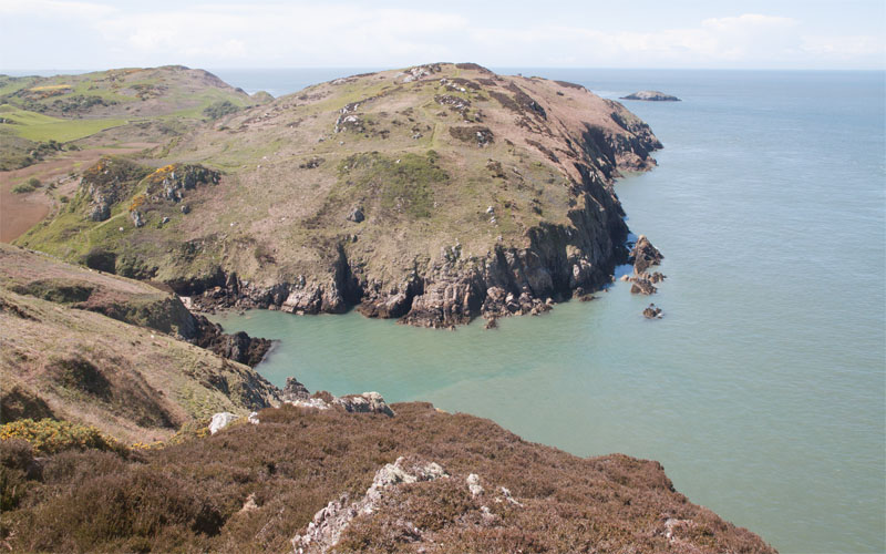 the Anglesey Coastal Path between Porth Wen and Porth Cynfor (Hell's Mouth)