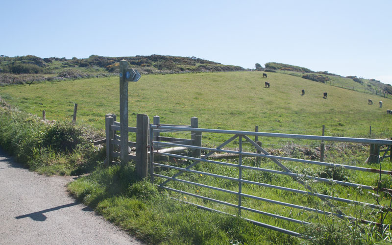 footpath to Porth Padrig and Cemaes Bay
