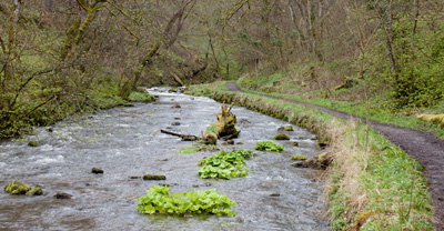 the River Wye in Cheedale