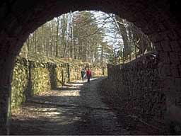 Tunnel under Ingleborough Hall Estate
