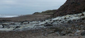 Cocklawburn beach, looking south toward Lindisfarne