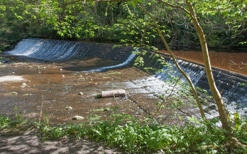 weir, Water of Leith, Colinton Dell