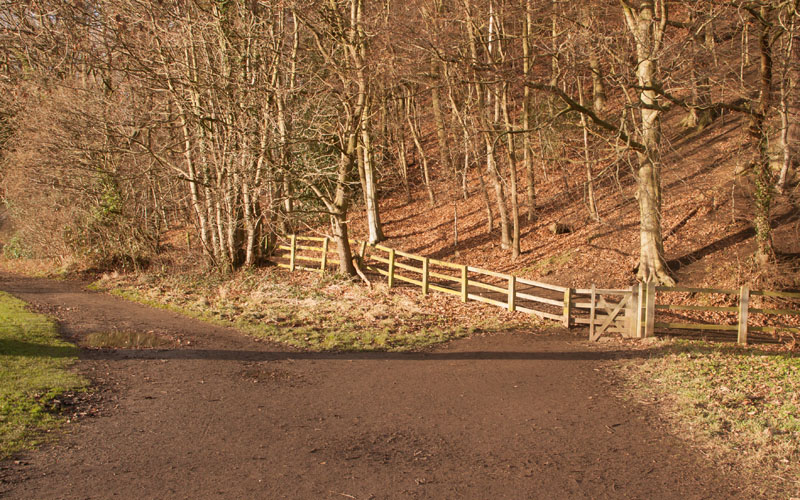 path leading to Maiden Castle Wood 