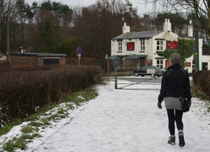 the Rose Tree, Shincliffe, Weardale Way