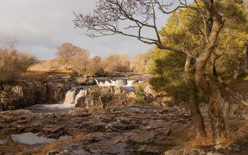 Low Force, River Tees