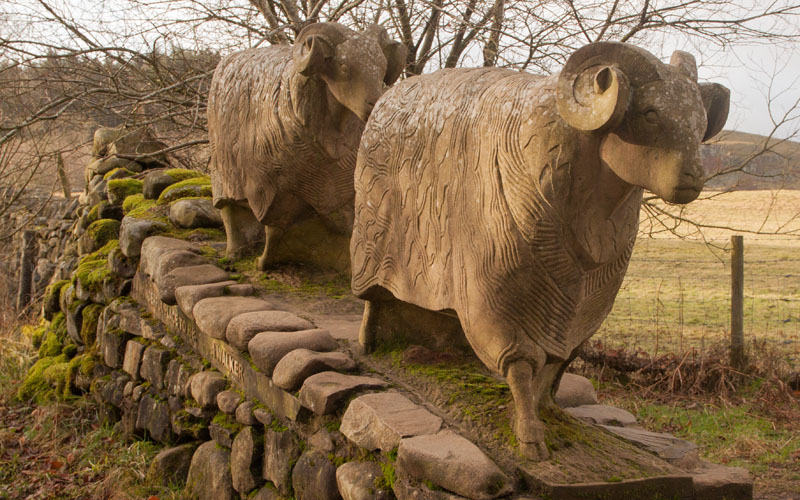 Keith Alexander's sheep sculpture