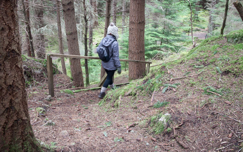 Farigaig Forest - rejoining South Loch Ness Trail