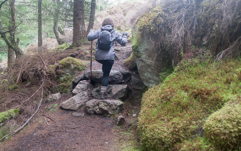 Farigaig Forest - South Loch Ness Trail