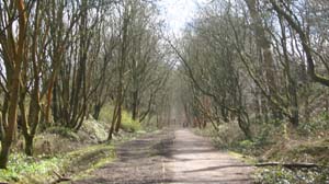 Cyle path following disused railway, near River Irwell