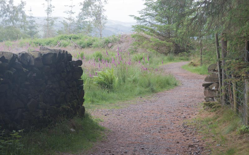 bridlepath between Colthouse and Belle Grange