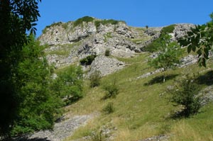 limestone cliff, Lathkill Dale