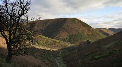 view across Cardingmill Valley, looking north east