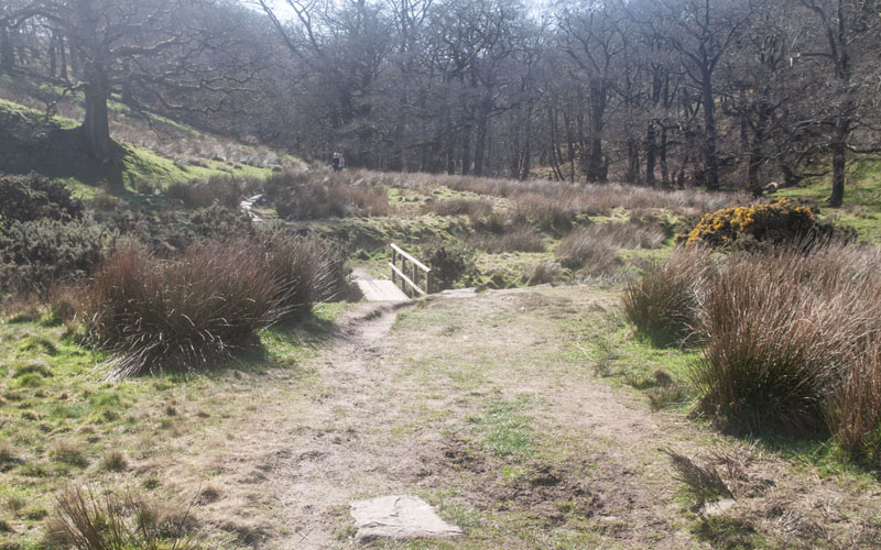 path leading over footbridge and to Holme Wood