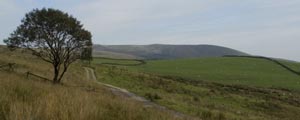 view towards Pendle 'big end'