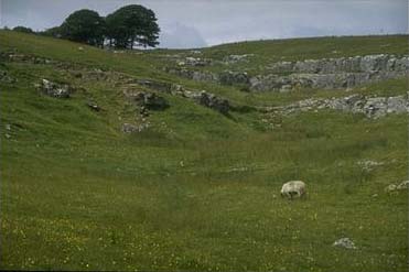 [photograph: Alum Pot, Ribblesdale]