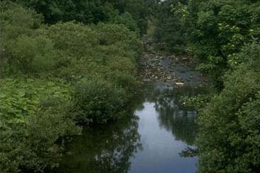 [photograph of River Ribble near Selside]