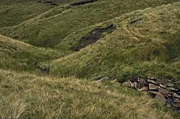 [photograph: Newby Head Moss - Jam Syke]