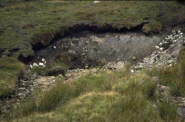 [photograph: Newby Head Moss - Jam Syke]