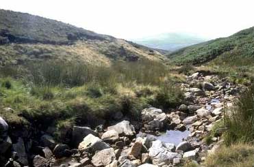 [photograph: Long Gill, Yorkshire Dales NAtional Park