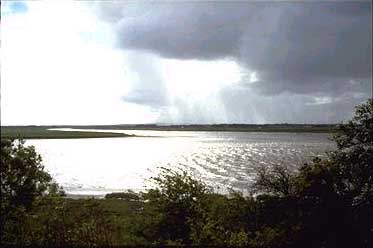 [photograph showing confluence of Freckleton Pool with Ribble]